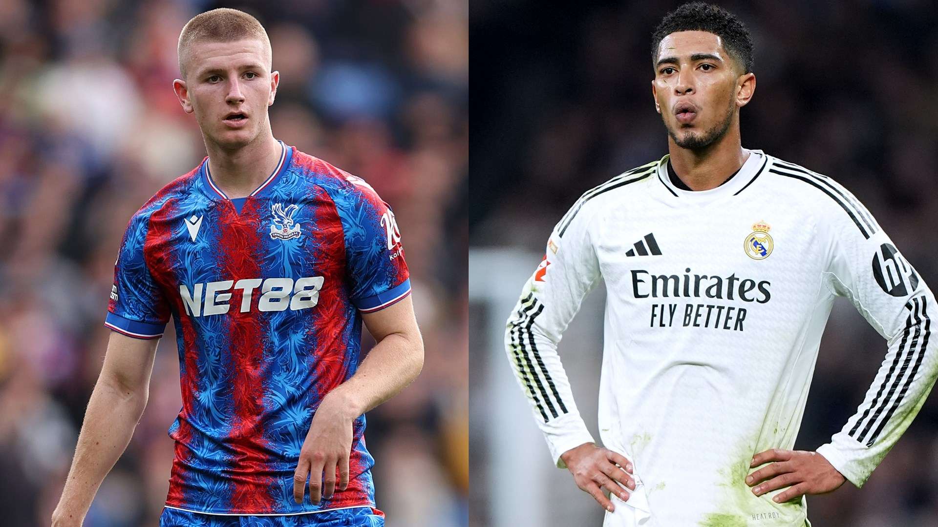 罗德的未来 罗德的未来